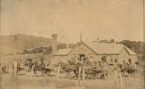 Owaka Dairy Factory opens in 1887