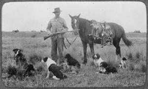 A Rabbiter in the 1890's with his horse and team of dogs
